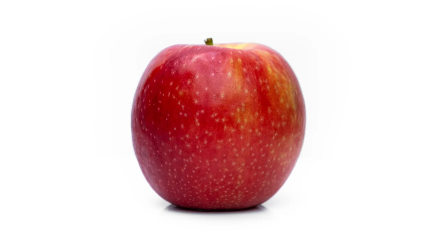 Opções Apple para famílias | Wiliam Geek | Reviews e Ofertas de Tecnologia Opções Apple para famílias
